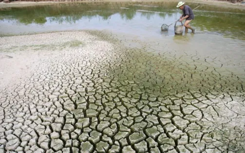 Thu hút tài chính khí hậu tại COP29