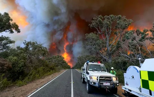 "Giặc lửa" thiêu rụi 74 nghìn ha rừng tại Australia