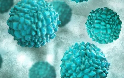 Số ca mắc bệnh đau dạ dày do Norovirus tăng ở nhiều vùng tại Mỹ