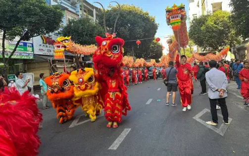 Nghệ thuật Lân Sư Rồng TP Hồ Chí Minh được công nhận là Di sản văn hóa phi vật thể quốc gia