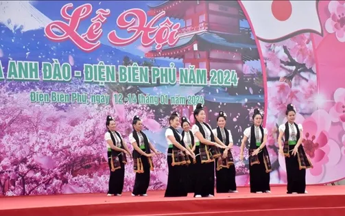 Sắp diễn ra Lễ hội hoa anh đào - Điện Biên Phủ 2025