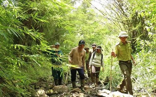 Tăng cường công tác bảo vệ rừng trong dịp Tết Nguyên đán