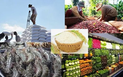 Kinh nghiệm xuất khẩu hàng tiêu dùng vào châu Âu