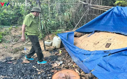Chi cục Kiểm lâm tỉnh Đắk Lắk chỉ đạo 'nóng' vụ rừng sản xuất bị tàn phá ở huyện Ea Hleo