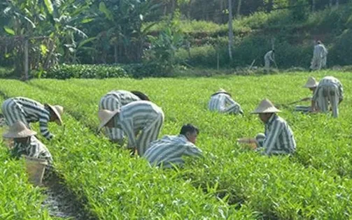 Bộ Công an đề xuất nhiều quy định mới về chế độ quản lý giam giữ