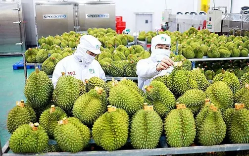Tín hiệu tích cực từ thị trường xuất khẩu nông lâm thủy sản