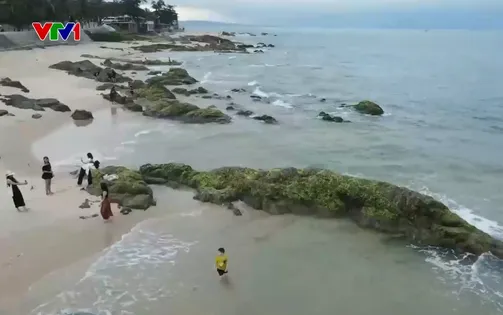 Bình yên bãi rạng thu hút du khách