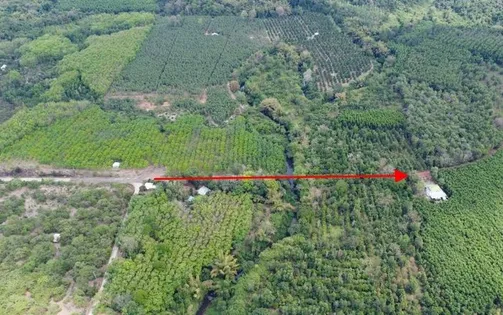 Nghiên cứu, rà soát kỹ phương án đầu tư đường kết nối Bình Phước - Đồng Nai qua cầu Mã Đà