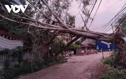 Yên Bái: Giông lốc khiến một người bị thương, 71 ngôi nhà tốc mái