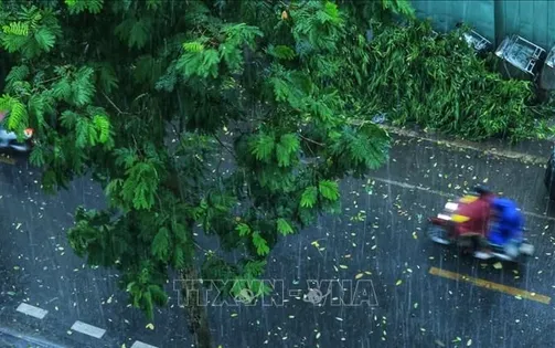Từ 9-16/5, nhiều hình thái thời tiết nguy hiểm trên các khu vực