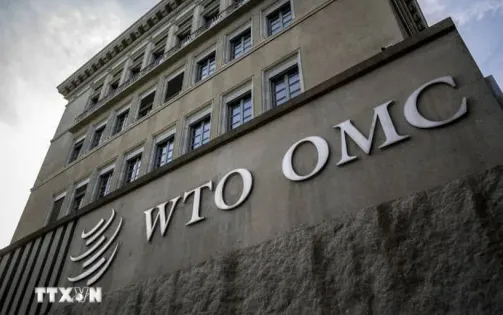 Việt Nam tham gia các phiên họp về phòng vệ thương mại tại WTO