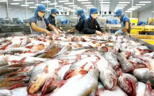 Trung Quốc trở thành thị trường xuất khẩu thủy sản lớn nhất của Việt Nam