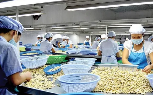 Xúc tiến thương mại: Đa dạng "kênh" mở rộng thị trường