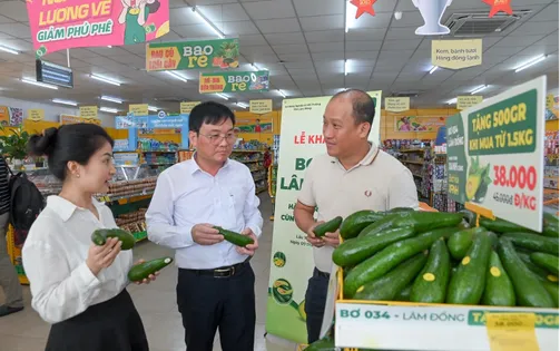 Khai mạc chương trình “bơ 034 Lâm Đồng – hành trình xanh cùng Bách Hóa Xanh”