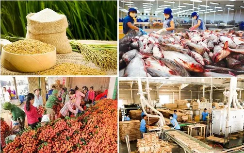 Bảo đảm sản xuất, tiêu thụ, xuất khẩu nông lâm thủy sản trong bối cảnh biến động thương mại toàn cầu