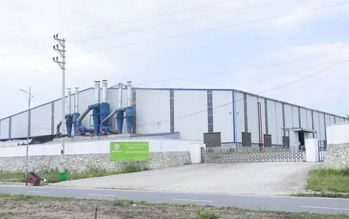 Một công ty ở Yên Bái bị phạt 320 triệu đồng do chưa có giấy phép môi trường