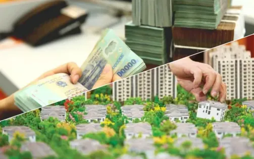 Cần chặn doanh nghiệp trốn thuế khi được bù trừ lãi bất động sản