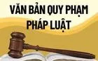 Giải thể Tổ công tác của Thủ tướng Chính phủ về rà soát văn bản quy phạm pháp luật