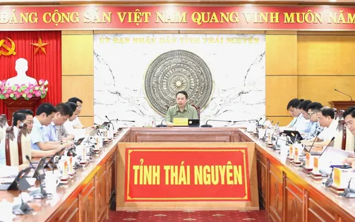 Thái Nguyên: Xem xét kế hoạch duyệt và tổ chức Đại hội các chi bộ, đảng bộ cơ sở