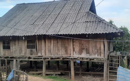 Trái tim lỗi nhịp và ước nguyện được chữa lành