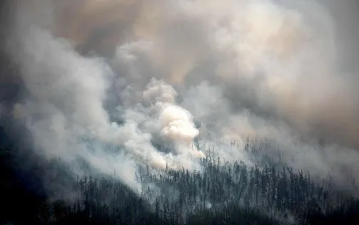 Nga: Cháy rừng nghiêm trọng ở Siberia, trên 600.000 ha bị thiêu rụi