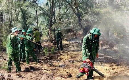 Kịp thời dập tắt đám cháy rừng phòng hộ ở Bình Định