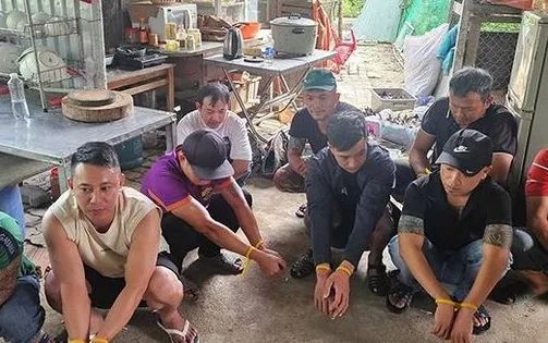 Xoá tụ điểm đá gà liên tỉnh ở Đà Nẵng