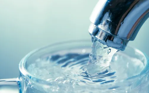 Mỹ: Gia tăng làn sóng phản đối sau khi hai bang cấm Fluoride trong nước sinh hoạt