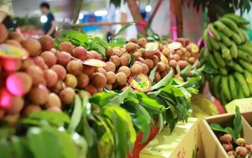 Gỡ điểm nghẽn, tìm hướng đi mới cho xuất khẩu rau quả