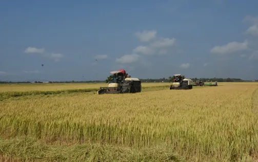 Đột phá khoa học công nghệ trong nông nghiệp