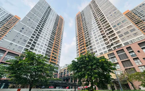 TP Hồ Chí Minh: Nhập nhằng nghĩa vụ thuế tại chung cư