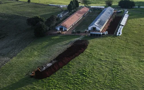 Brazil lập rào chắn ngăn cúm gia cầm