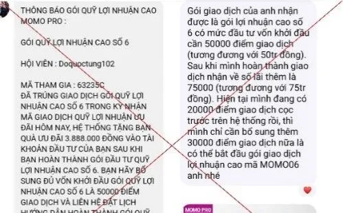 Đầu tư qua MoMo Pro giả mạo, người đàn ông mất hơn 300 triệu đồng
