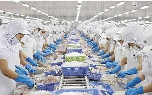 Thủy sản Việt Nam tìm cách thoát “bẫy phụ thuộc”