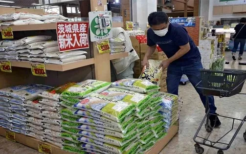 Nhật Bản gặp khó khăn trong việc giảm giá gạo