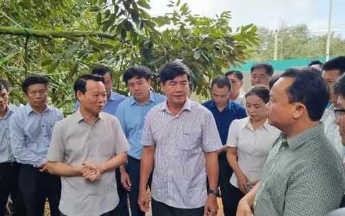 Bộ trưởng Bộ Nông nghiệp và Môi trường: Gian lận mã số vùng trồng là tội phạm