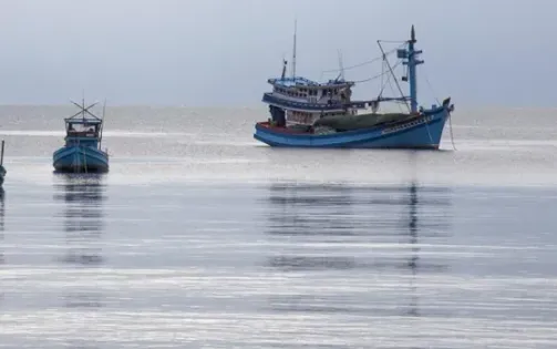 Phạt 5 chủ tàu vi phạm giám sát hành trình khai thác thủy sản
