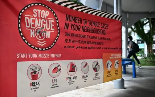 Singapore khuyến cáo người dân cảnh giác với dịch sốt xuất huyết
