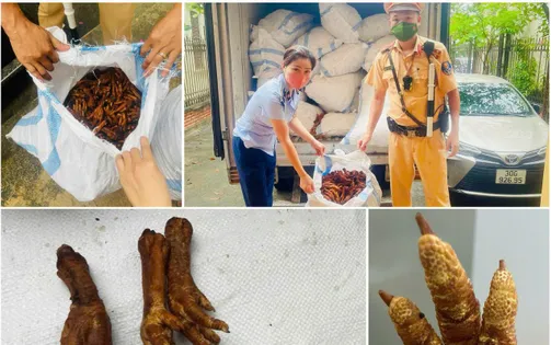 Hà Nội: Bắt giữ hơn 1 tấn chân gà chiên không rõ nguồn gốc
