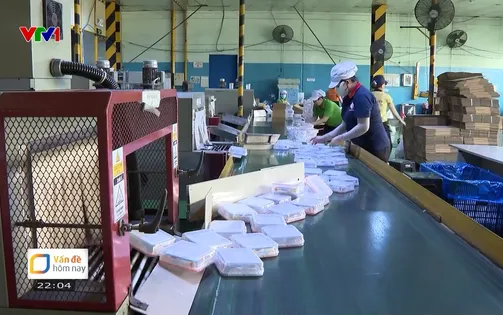 Dự thảo Luật Việc làm (sửa đổi): Hỗ trợ toàn diện cho người thất nghiệp
