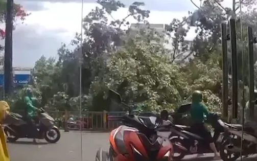 Video: Người đàn ông thoát chết khi cây đổ trúng lúc đang chạy xe