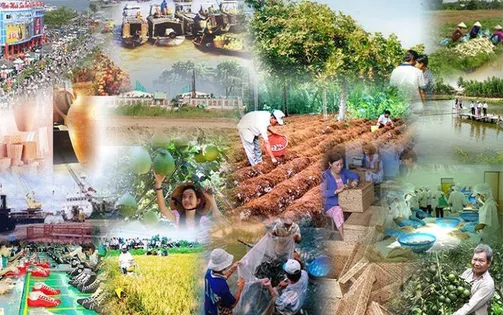 Thành lập Ban Chỉ đạo Trung ương các chương trình mục tiêu quốc gia giai đoạn 2021 - 2025