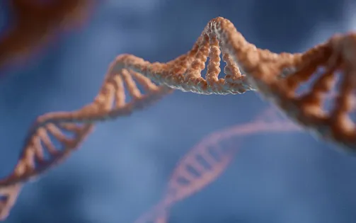 Phát hiện gene đột biến giúp con người khỏe mạnh dù chỉ ngủ 3 tiếng mỗi đêm