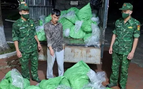 Liên tiếp phát hiện nhiều lô chân gà, chân lợn bẩn không rõ nguồn gốc
