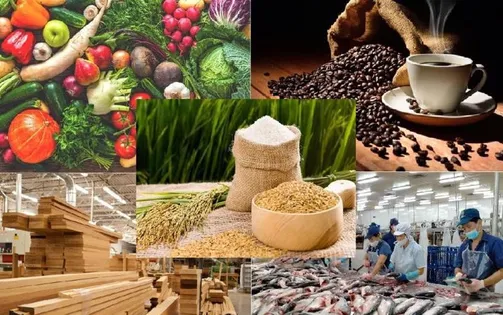 Thị trường nông sản chìm trong “sắc đỏ”: Xuất khẩu Việt Nam chịu áp lực