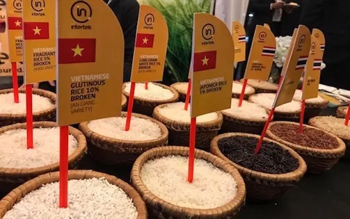 Thúc đẩy xuất khẩu gạo Việt Nam vào Nhật Bản