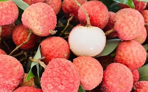 Vải thiều Việt Nam lên kệ siêu thị Đức