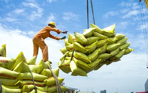 Việt Nam thu về 2,34 tỷ USD nhờ xuất khẩu gạo