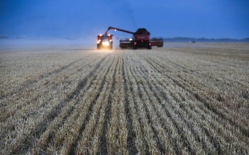 Bộ trưởng Nông nghiệp Nga: Moscow lập kỷ lục về lượng ngũ cốc xuất khẩu