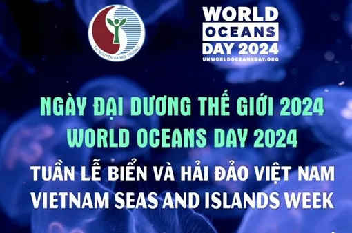 Ngày Đại dương thế giới 2024: đánh thức hiểu biết về giá trị xanh bền vững
